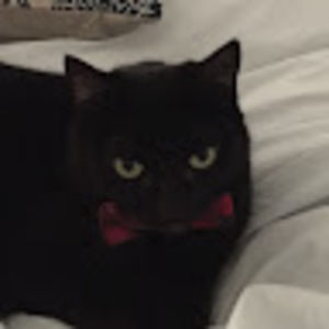 Meet your Posher, Tess